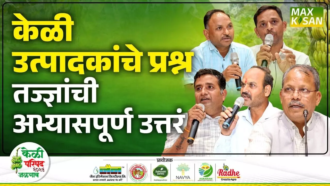 Banana Conference : केळी परिषदेत उत्पादक, निर्यातदारांचे थेट प्रश्न, तज्ज्ञांची अचूक उत्तरं