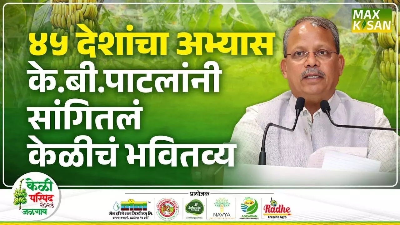 Dr.K.B.Patil : जळगावच्या केळीचा आजवरचा प्रवास उलगडलाय डॉ. के.बी.पाटील यांनी