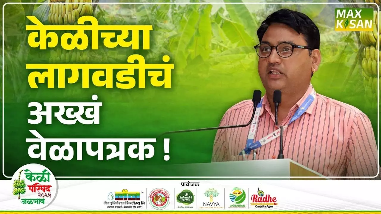 Dr.V.T.Gujar : निर्यातक्षम केळीच्या उत्पादनाचं वेळापत्रक कसं असावं ?