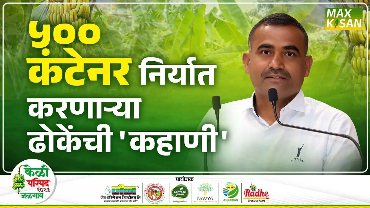 Kiran Dhoke : सोलापूरची केळी निर्यातीमध्ये पुढं कशी गेली ? | Max Kisan