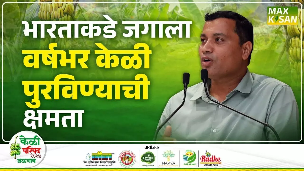 Pravin Thackeray : भारतीय केळी उत्पादकांची स्पर्धा नक्की कुणाशी ? प्रवीण ठाकरेंचं विश्लेषण