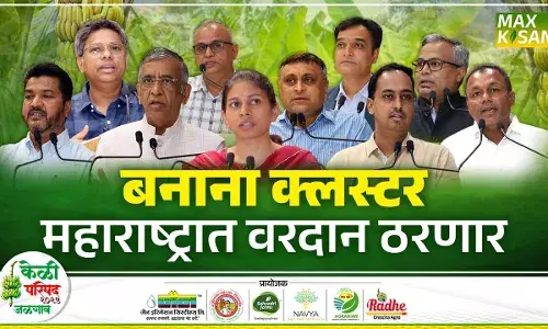 केळीचं भवितव्य काय ? पाहा ‘केळी परिषद २०२५, जळगाव’ मध्ये केळीचं भवितव्य काय ? पाहा ‘केळी परिषद २०२५, जळगाव’ मध्ये