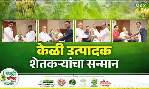 Banana Conference 2025 : कार्यक्रमाला उपस्थित पाहुण्यांसह शेतकऱ्यांचा देखील सन्मान