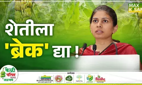 Raksha Khadse : केळी क्लस्टर जळगावला कसं मिळालं ? खडसेंनी सांगितला घटनाक्रम Raksha Khadse : केळी क्लस्टर जळगावला कसं मिळालं ? खडसेंनी सांगितला घटनाक्रम