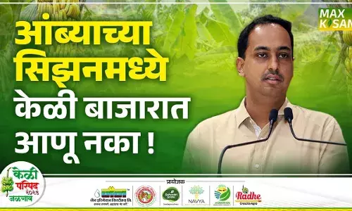 IAS Ayush Prasad : जळगाव आणि बुऱ्हाणपूरचे जिल्हाधिकारी भेटल्यावर केळीचे भाव का वाढतात ?