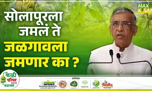 Ashok Jain : निर्यातक्षम केळी उत्पादनाचं नियोजन कसं करावं ? अशोक जैन यांचं सखोल विश्लेषण पाहा Ashok Jain : निर्यातक्षम केळी उत्पादनाचं नियोजन कसं करावं ? अशोक जैन यांचं सखोल विश्लेषण पाहा