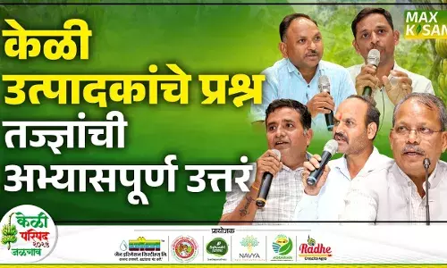Banana Conference : केळी परिषदेत उत्पादक, निर्यातदारांचे थेट प्रश्न, तज्ज्ञांची अचूक उत्तरं