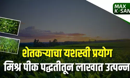 शेतकऱ्याने केली एकाच क्षेत्रात पाच पिकांची लागवड शेतकऱ्याने केली एकाच क्षेत्रात पाच पिकांची लागवड
