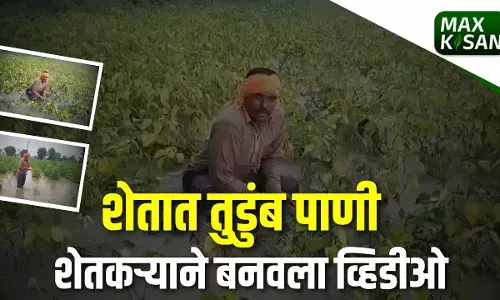 शेतात पाणीच पाणी शेतकऱ्याने बनवला व्हिडीओ... शेतात पाणीच पाणी शेतकऱ्याने बनवला व्हिडीओ...