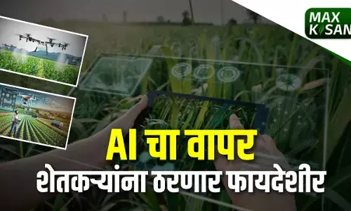 AI चा वापर शेतकऱ्यांना ठरणार फायदेशीर AI चा वापर शेतकऱ्यांना ठरणार फायदेशीर