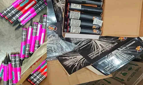 कपड्यांच्या कंटेनरमधून फटाक्यांची तस्करी, गुजरातमधून एकाला अटक कपड्यांच्या कंटेनरमधून फटाक्यांची तस्करी, गुजरातमधून एकाला अटक