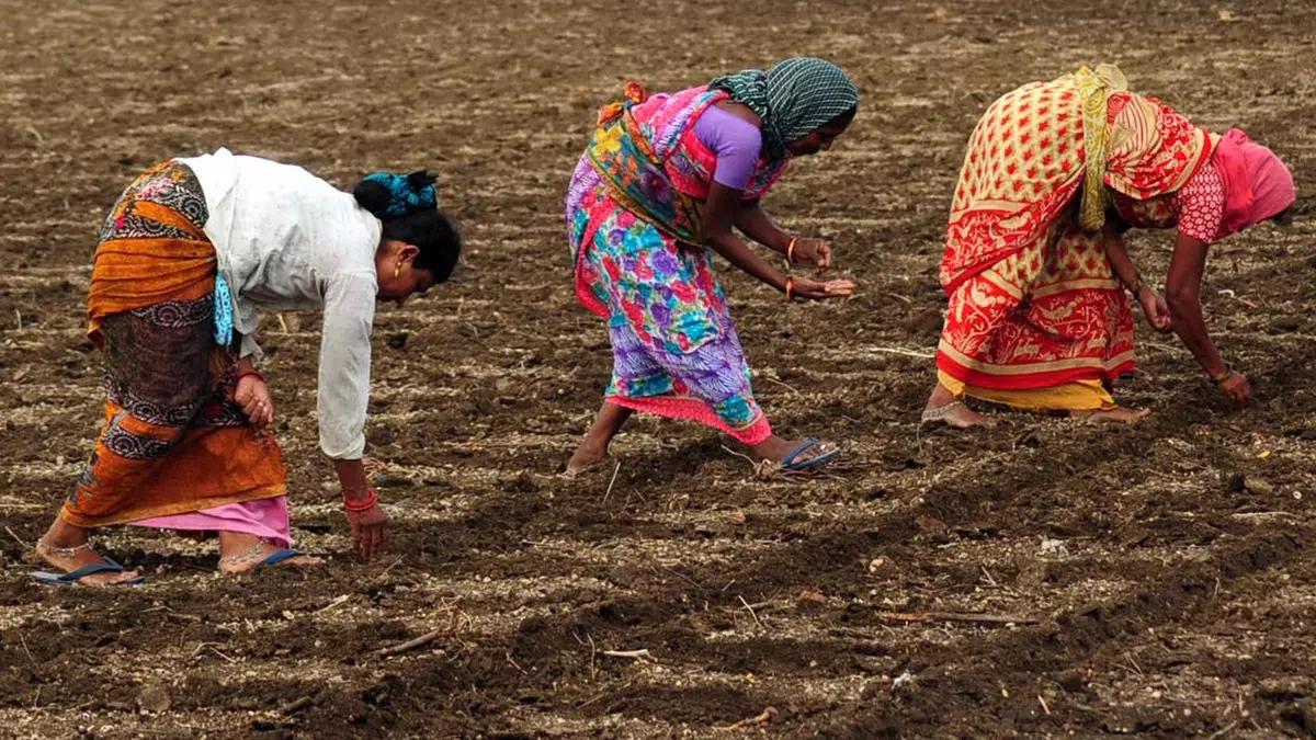 भारतीय शेतीतील वास्तव स्त्रीशक्ती, अदृश्य श्रम, अपूर्ण मान्यता
