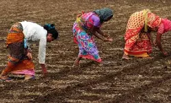 भारतीय शेतीतील वास्तव स्त्रीशक्ती, अदृश्य श्रम, अपूर्ण मान्यता