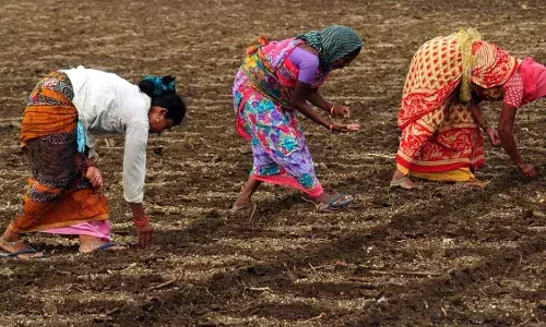 भारतीय शेतीतील वास्तव स्त्रीशक्ती, अदृश्य श्रम, अपूर्ण मान्यता भारतीय शेतीतील वास्तव स्त्रीशक्ती, अदृश्य श्रम, अपूर्ण मान्यता