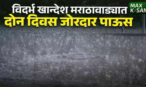 विदर्भ खान्देश मराठावाड्यात दोन दिवस जोरदार पाऊस