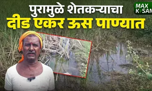 पूर ओसरला तरही शेतातील पाणी हटेना