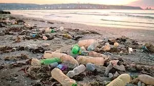 प्लास्टिक प्रदूषणाबाबत आपला Collective Self-deception धोकादायक!