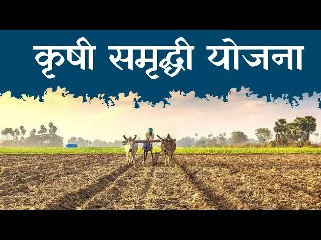 Krishi Samruddhi योजनेंतर्गत अतिवृष्टीग्रस्त शेतकऱ्यांना मिळणार अनुदान, शासन निर्णय जारी, कृषी मंत्री Dattatray Bharne यांची माहिती