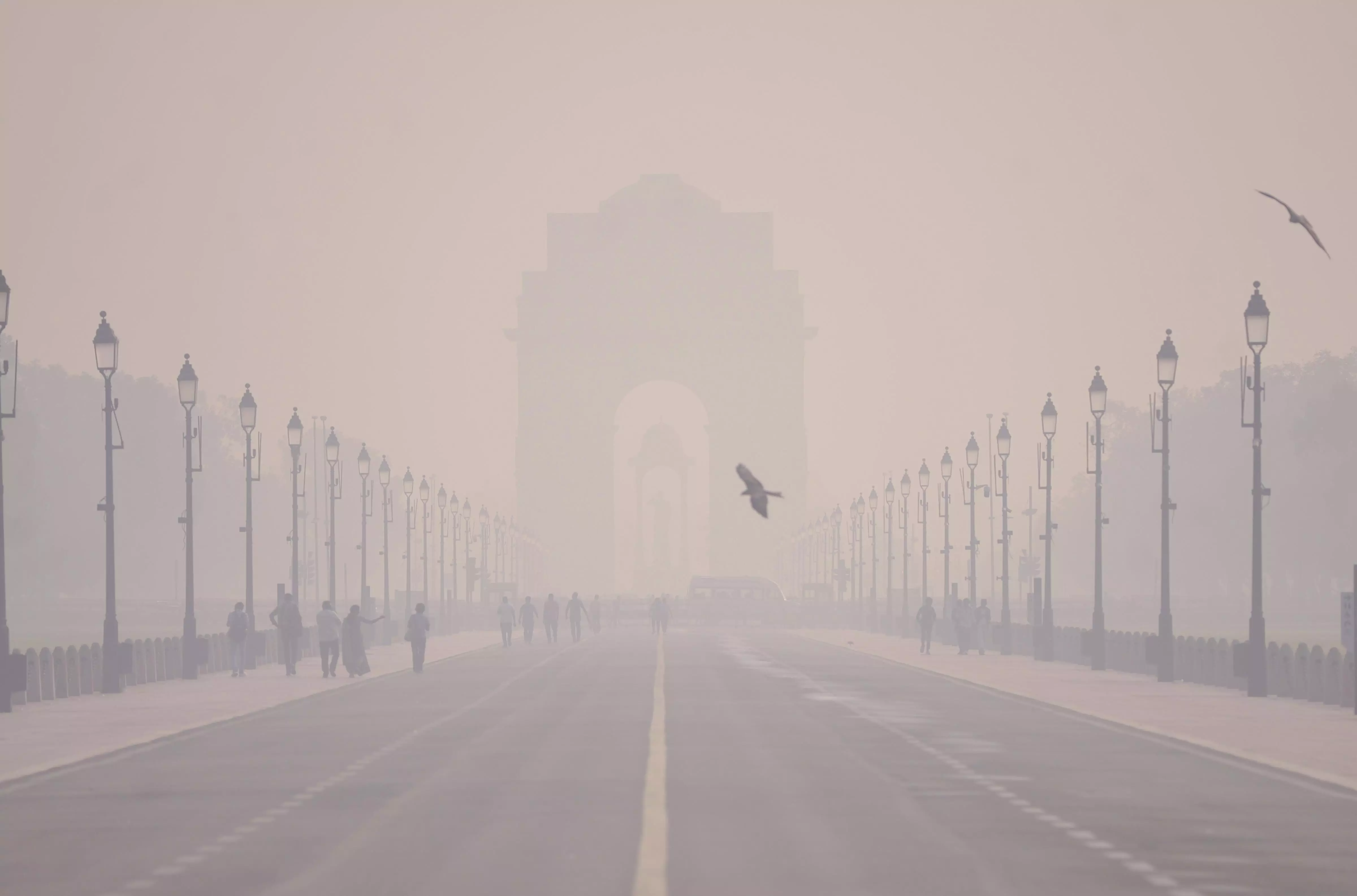Delhi Air Pollution राजकीय अर्थव्यवस्थेचे अपरिहार्य अंग