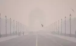 Delhi Air Pollution राजकीय अर्थव्यवस्थेचे अपरिहार्य अंग