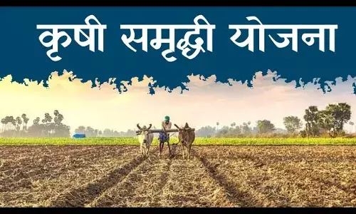Krishi Samruddhi योजनेंतर्गत अतिवृष्टीग्रस्त शेतकऱ्यांना मिळणार अनुदान, शासन निर्णय जारी, कृषी मंत्री Dattatray Bharne यांची माहिती