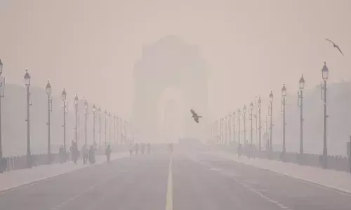 Delhi Air Pollution राजकीय अर्थव्यवस्थेचे अपरिहार्य अंग