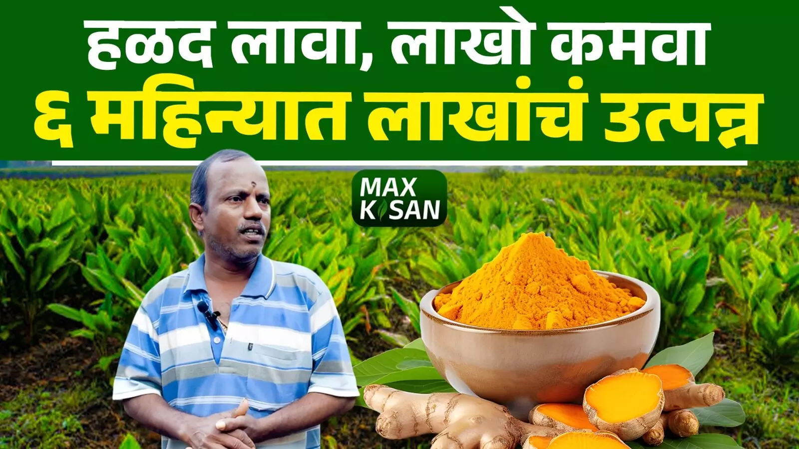 हळद लागवड : नैसर्गिक पद्धतीने लाखो रुपयांचे उत्पन्न देणारा यशस्वी शेतीचा मार्ग !