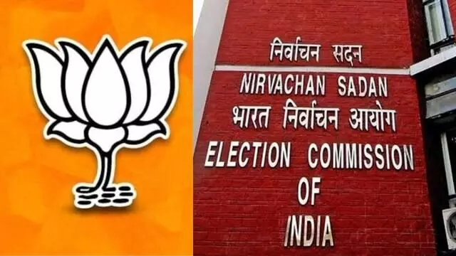 Election Commissionचा BJPला बाहेरून पाठिंबा?