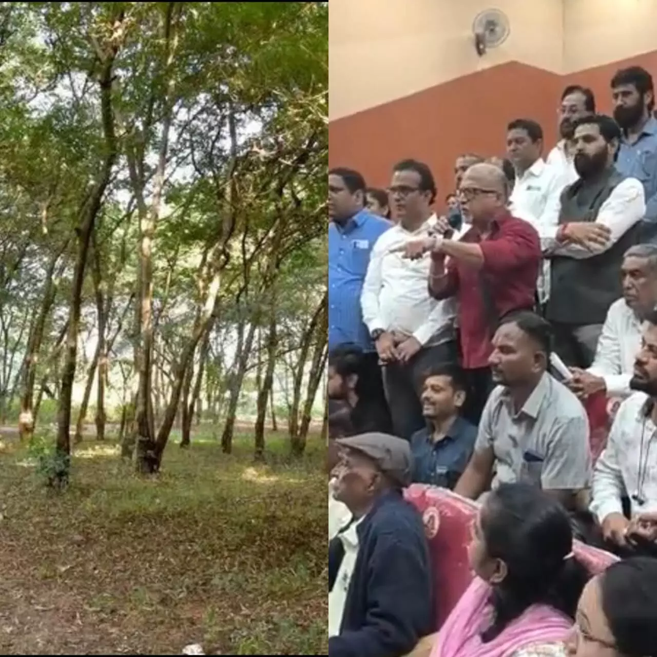 Nashik कुंभमेळा : इथलं एकही झाड तोडायचं नाही, मनपा प्रशासनाला निरंजन टकले यांचे खडेबोल