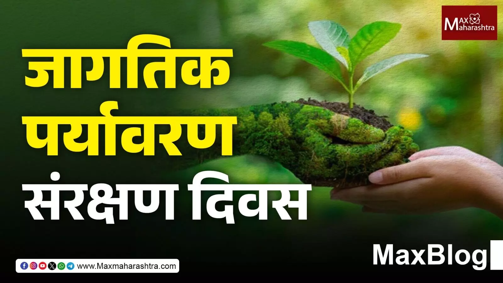 World Environment protection Day : या जगात शुद्ध पर्यावरणापेक्षा काही महत्त्वाचे आहे का?