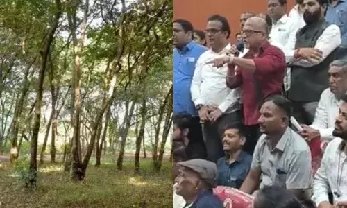 Nashik कुंभमेळा : इथलं एकही झाड तोडायचं नाही, मनपा प्रशासनाला निरंजन टकले यांचे खडेबोल