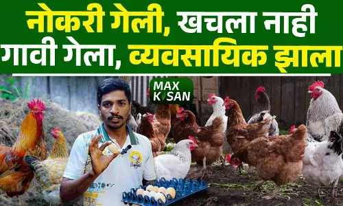 दापोलीतील तरुणाची यशोगाथा, गावरान कुक्कुटपालन