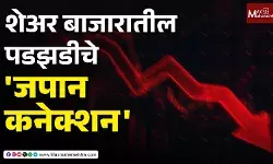 The Japan connection of the stock market crash