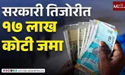 Income Tax कॉलेक्टिव : सरकारी तिजोरीत १७ लाख कोटी जमा, पण कर सवलतीमुळे वाढीचा वेग मंदावला
