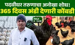 Solapur | पदवीधर तरुणाचा ३६५ दिवस अंडी देणाऱ्या कोंबडीचा यथस्वी प्रयोग