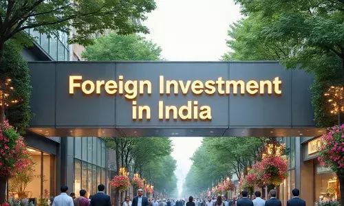 Foreign Ownership in Indian Banks : भारतीय बँका, वित्त कंपन्यांमध्ये परकीय मालकी का वाढत आहे ?