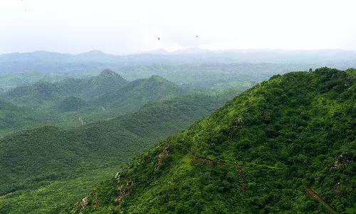 Save Aravalli : अरावली वाचवणे म्हणजे देशाचे भविष्य वाचवणे...