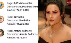 महाराष्ट्रात निवडणुकीपूर्वी डिजिटल जाहिरातींवर मोठा खर्च