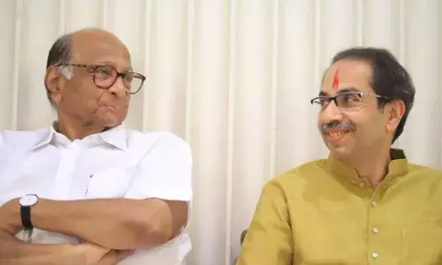 Maharashtra Municipal Elections : उद्धव ठाकरेंची कमिटमेंट आणि पवारांची सेटलमेंट !