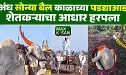 अंध सोन्या बैल काळाच्या पडद्याआड