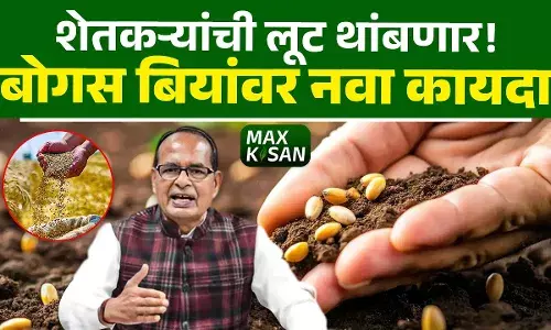 शेतकऱ्यांना लुटणाऱ्या बोगस बियांनांसाठी नवा कायदा