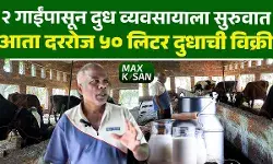 कुक्कुटपालन सोडून दुध उत्पादन, ७ गायींपासून उभा केला यशस्वी व्यवसाय