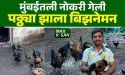 नोकरी गेली, खचला नाही, गावी गेला, व्यवसायिक झाला