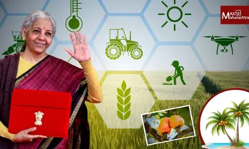 Union Budget 2026 Agriculture: शेतकऱ्यांसाठी १.६३ लाख कोटींचा निधी; काजू, नारळ आणि चंदनाच्या शेतीला मिळणार बूस्टर डोस!
