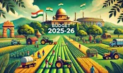 Union Budget 2026-27 : शेती क्षेत्राकडे गळ्यातील लोढणे म्हणून बघणे बंद केले पाहिजे - संजीव चांदोरकर