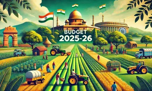 Union Budget 2026-27 : शेती क्षेत्राकडे गळ्यातील लोढणे म्हणून बघणे बंद केले पाहिजे - संजीव चांदोरकर