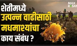 शेतीमध्ये उत्पन्न वाढीसाठी मधमाश्यांचा काय संबंध ?