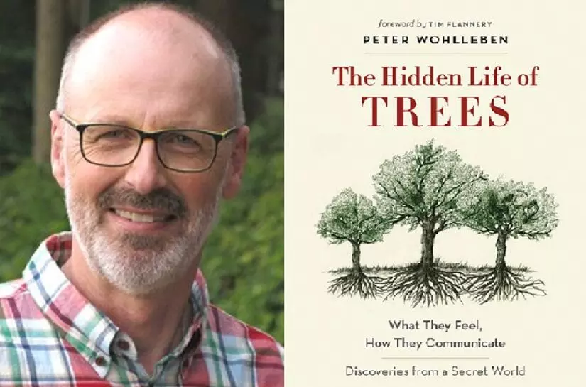 Book Review of The Hidden Life of Trees : झाडे विचार करतात का ?