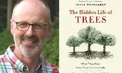 Book Review of The Hidden Life of Trees : झाडे विचार करतात का ?