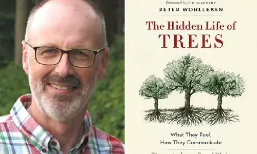 Book Review of The Hidden Life of Trees : झाडे विचार करतात का ?
